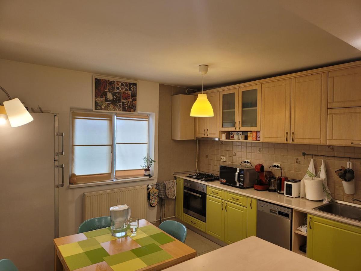 Family Friendly With Kids Room, Quiet And Peaceful Bucareste Exterior foto